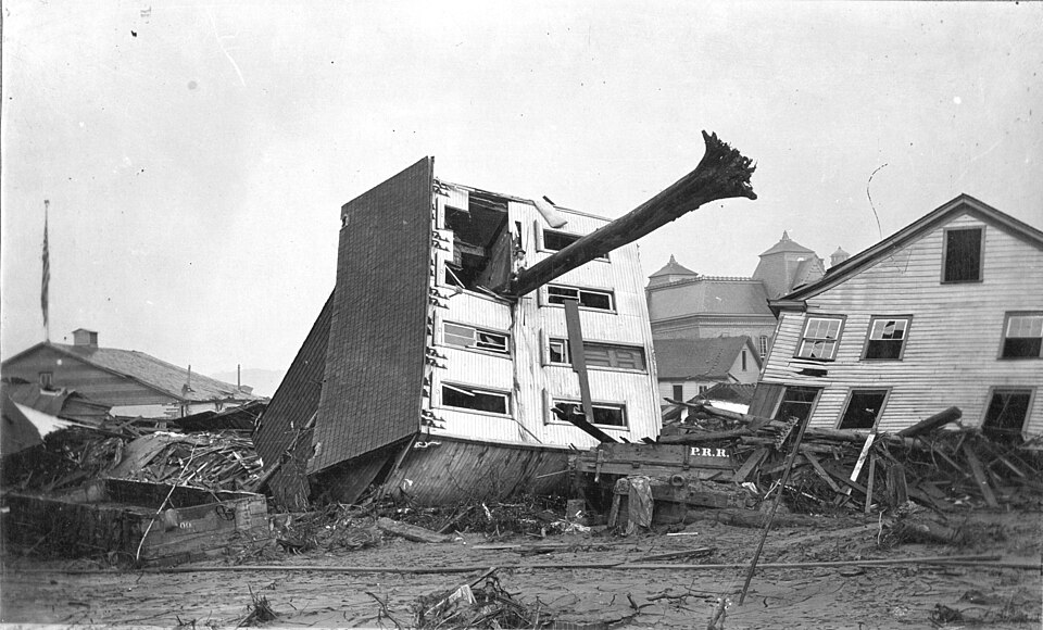 The force of the water uprooted massive trees and threw houses from their foundations.
